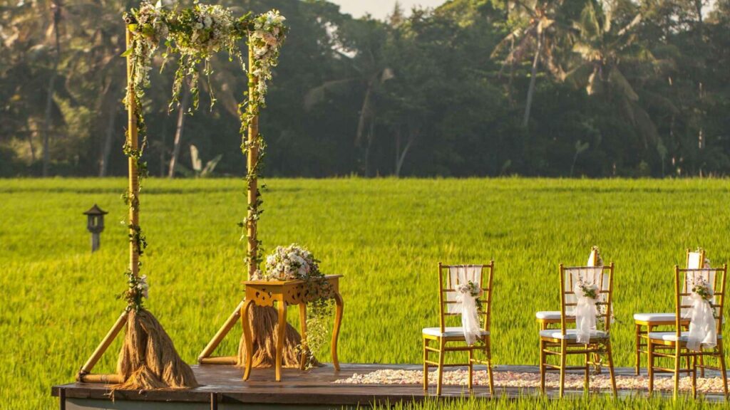 Rice Field Wedding Venues