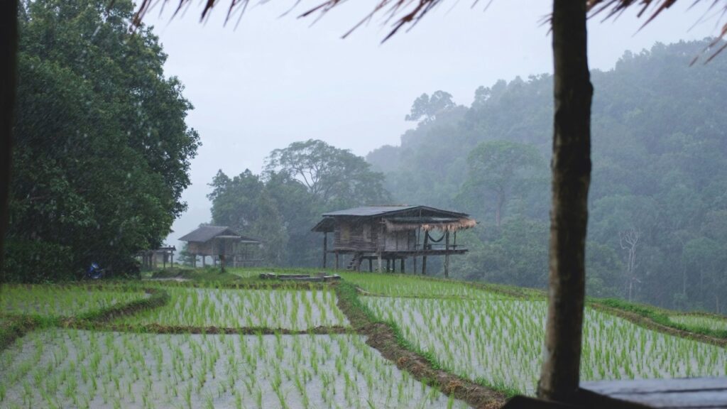 Wet Season Ubud