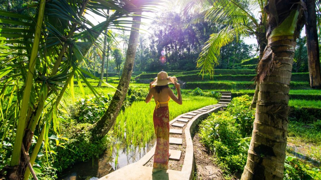 Dry Season Ubud