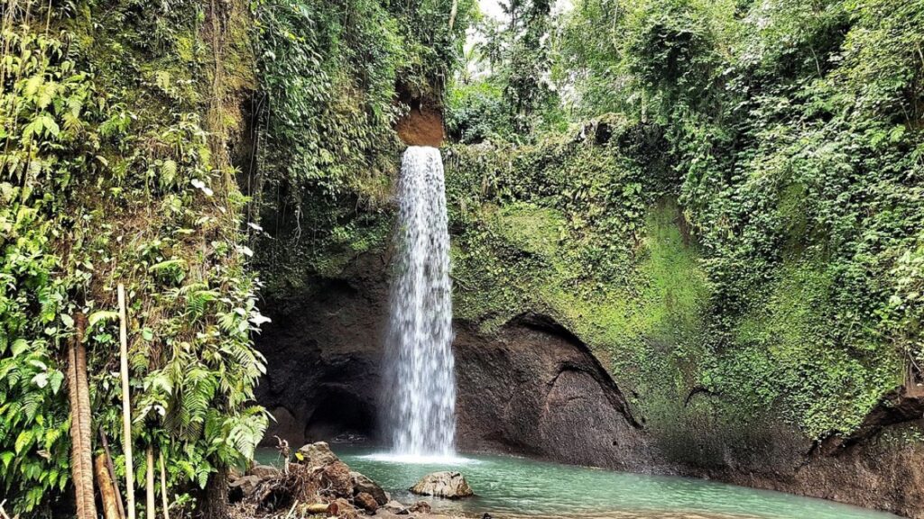 Best Soft Adventure: Waterfall Day Trip in Tegenungan