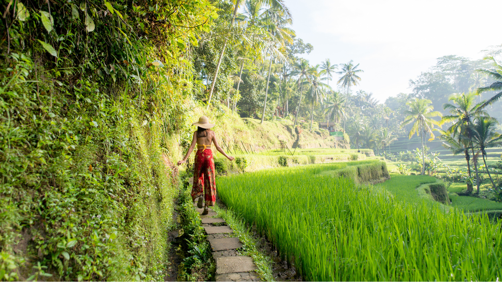 Woman walking along a narrow path through scenic green rice terraces in Bali.